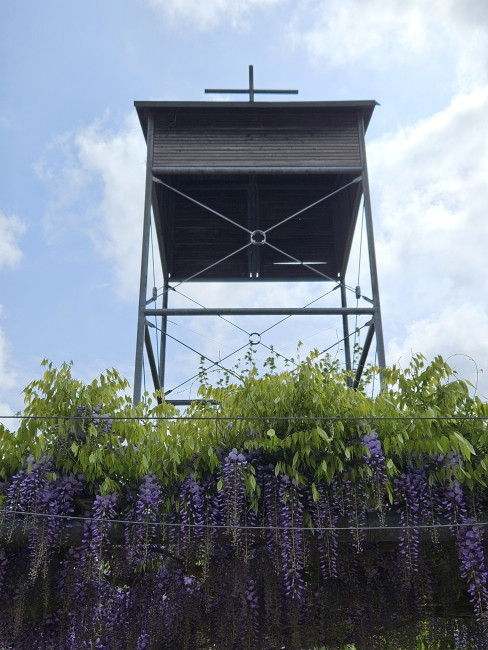 Turm des HdB mit grünen Ranken mit lila Blüten